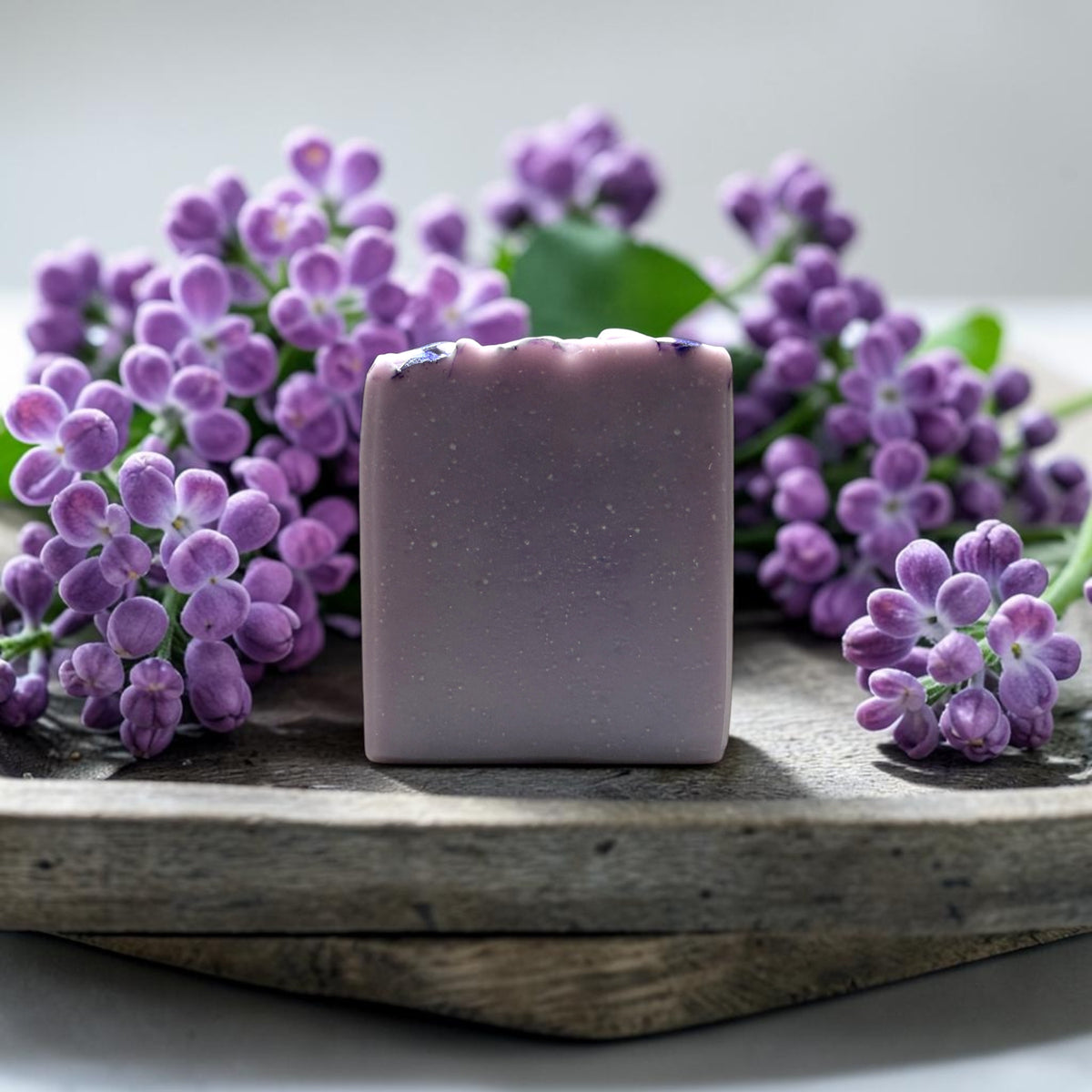 Lilac Tallow Soap Bar