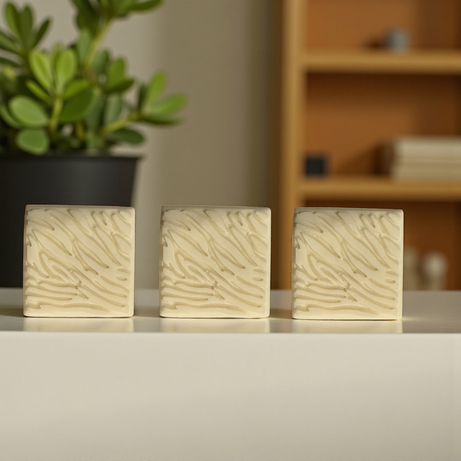 Face Oil &  Tallow Face Soap