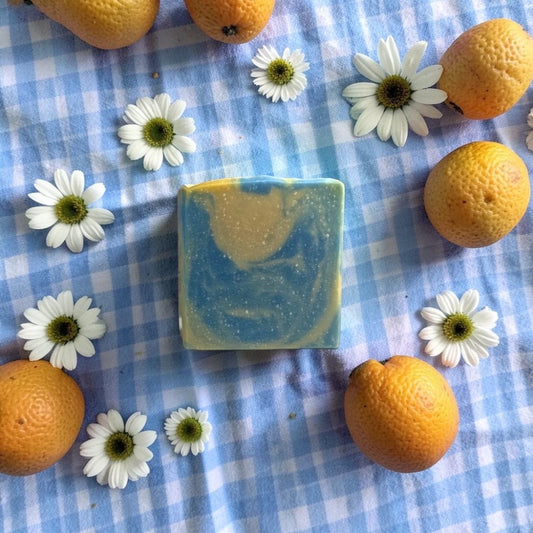 Fresh Gingham Soap Bar
